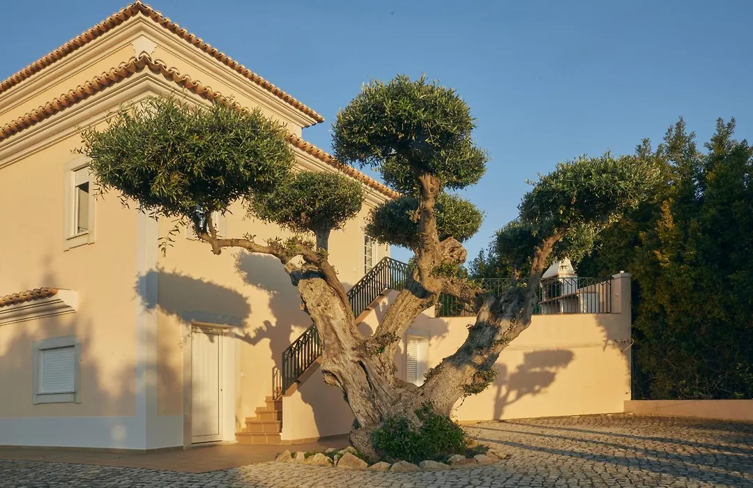 Villa Monte Das Oliveiras With Private Pool-1