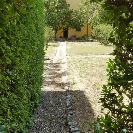 La Limonaia-2