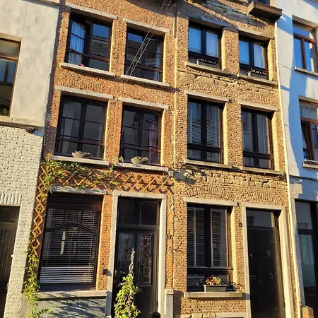 Zuiderzin-3