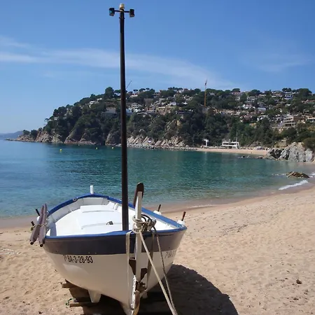 La Gaviota-3