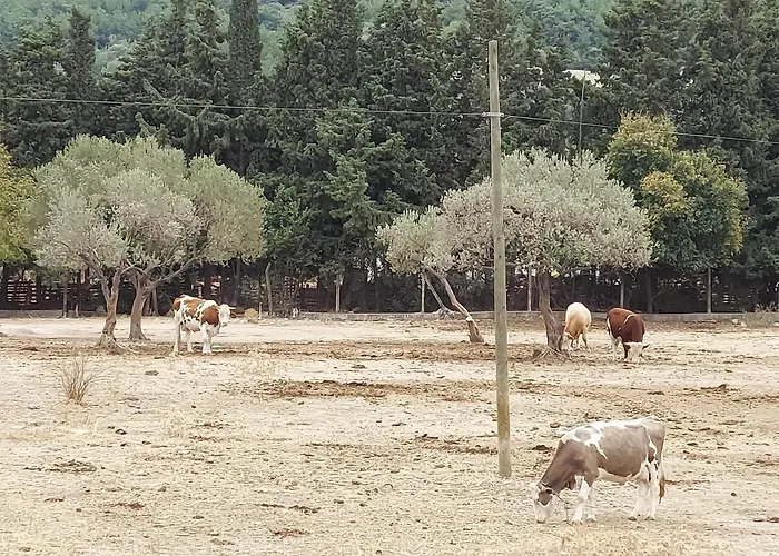 Private Villen in Urla