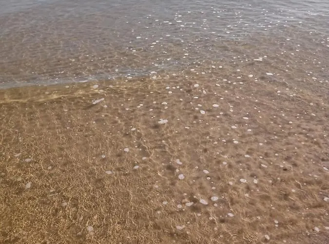 Ville private a Termoli