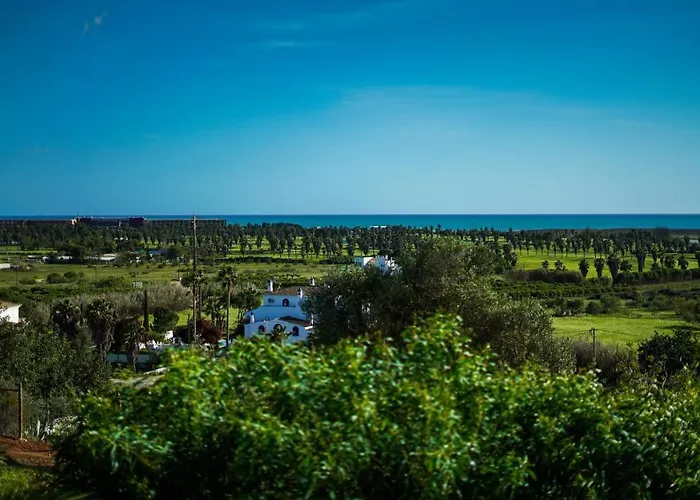 Private Villas in Guia (Faro)