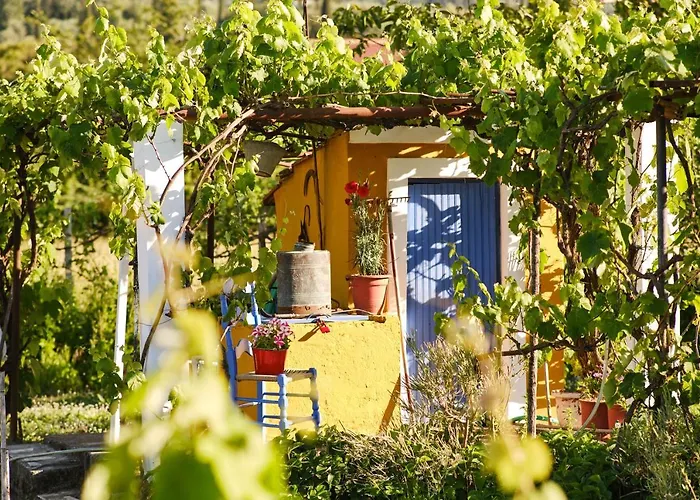 Private Villas in Roda (Corfu)