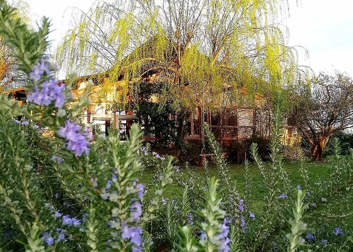 Private Villas in San Cassiano (Ravenna)