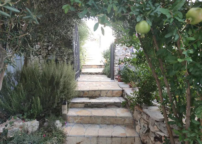 Private Villas in Milna (Brac)