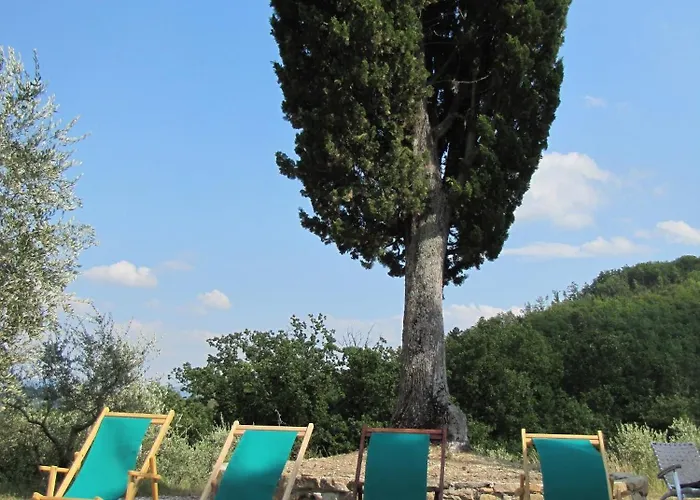 Private Villas in Vicchio
