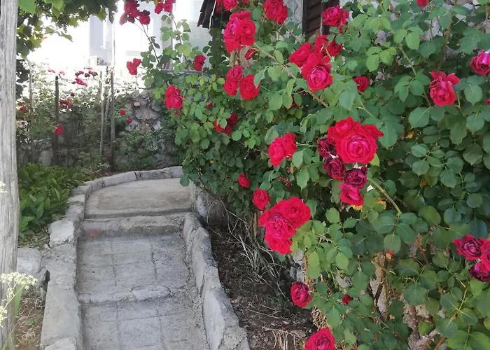 Private Villas in Moscenicka Draga