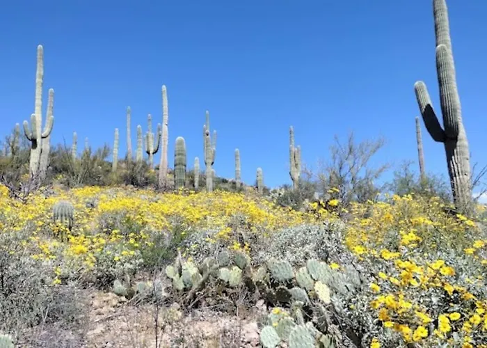 Private Villas in Tucson