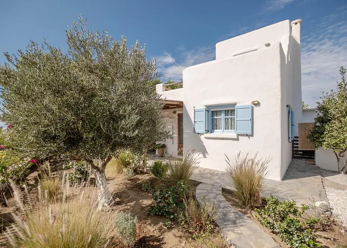 Private Villas in Plaka (Naxos)