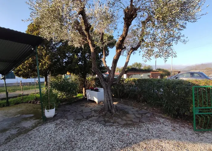 Ville private a Viareggio