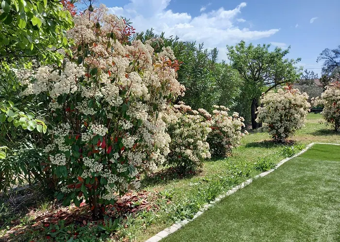 Private Villas in Ajaccio (Corsica)