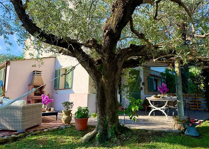 Private Villas in Castagneto Carducci