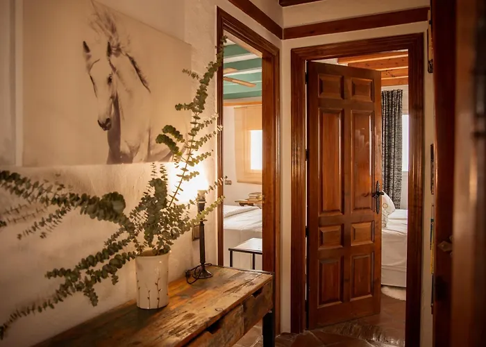 Private Villas in Casares