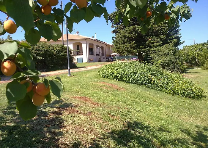 Ville private a San Vincenzo
