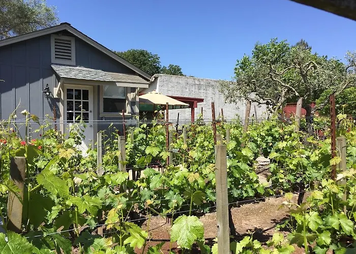 Private Villas in Calistoga