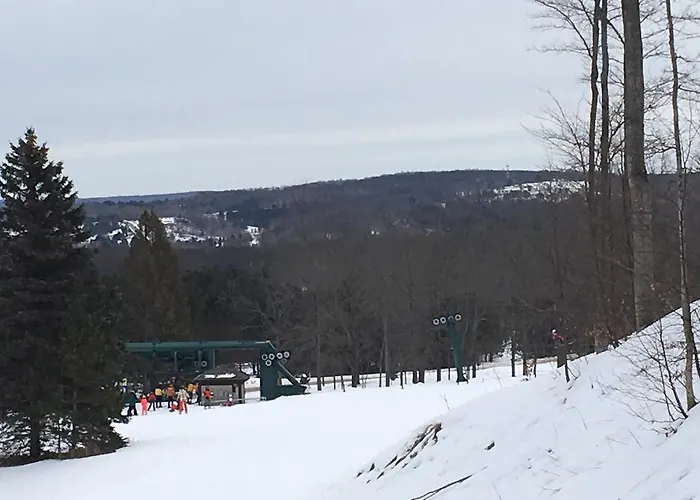 Private Villas in Boyne Falls