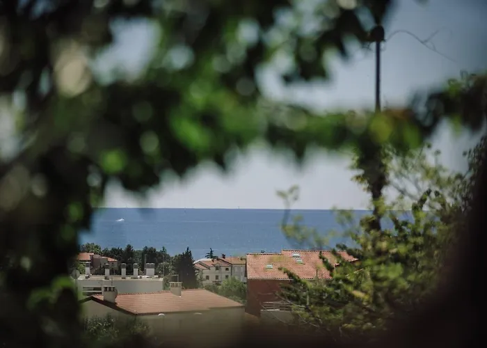 Private Villen in Novigrad Istria